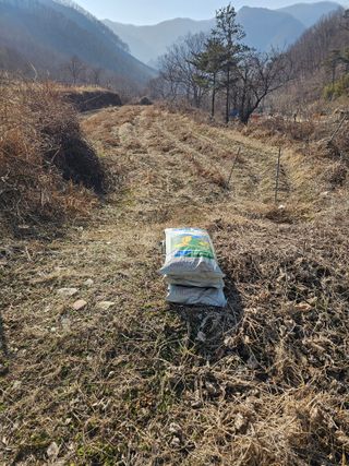 백용기님의 자유주제 · 자유게시판 작성글 사진