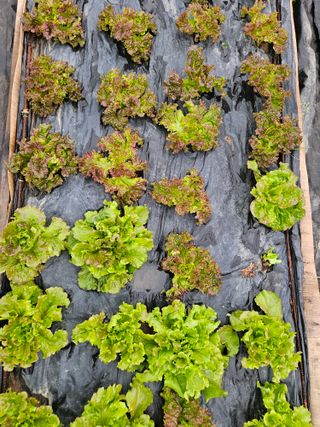 종일님의 자유주제 · 자유게시판 작성글 사진