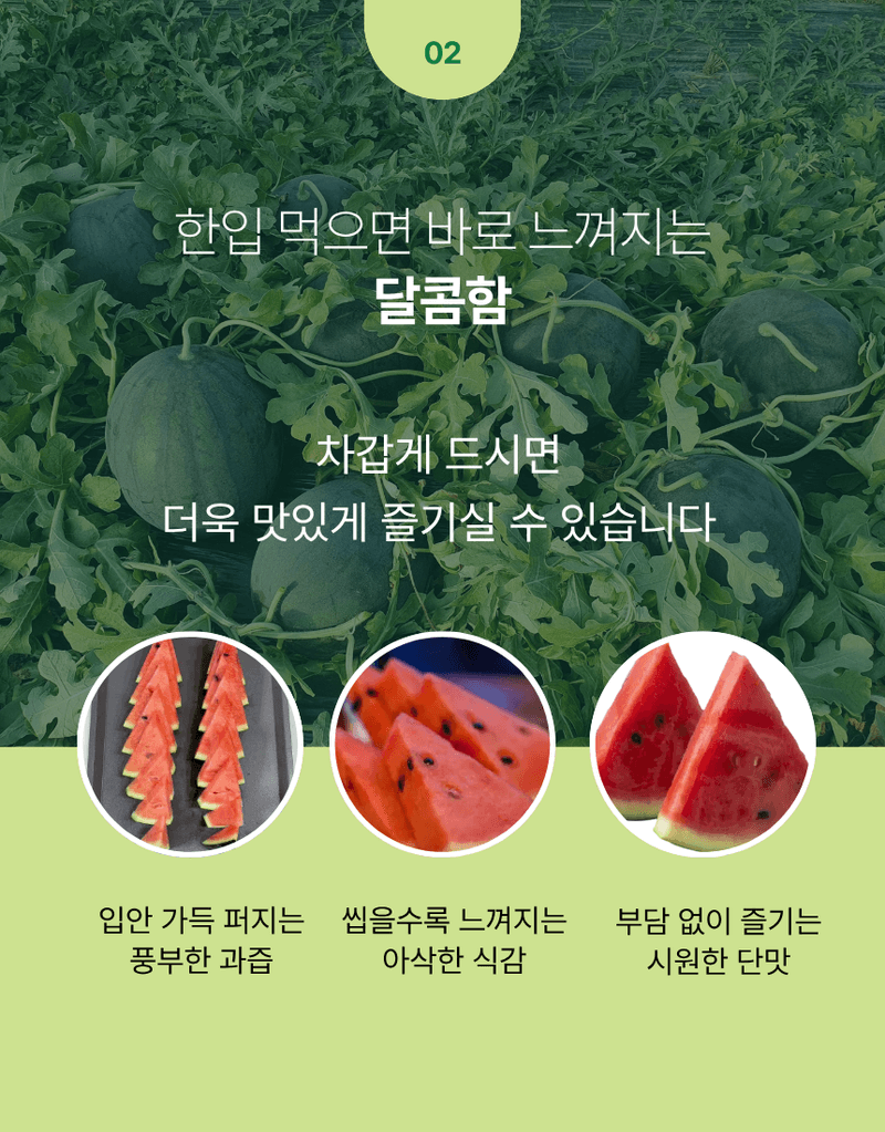 과일팩토리님의 장터 판매 상품 [고당도 신선한 산지직송 프리미엄 흑수박 3kg/4kg] 첨부 사진
