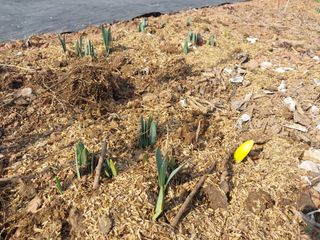 화우농원님의 자유주제 · 자유게시판 작성글 사진