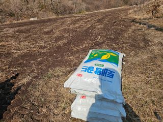 백용기님의 자유주제 · 자유게시판 작성글 사진