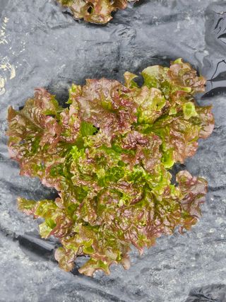 종일님의 자유주제 · 자유게시판 작성글 사진