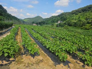 늘항상한결님의 자유주제 · 자유게시판 작성글 사진