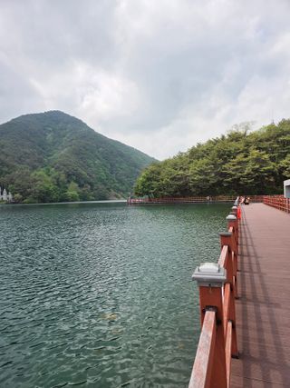 최동수님의 자유주제 · 자유게시판 작성글 사진