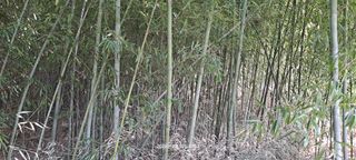 이형진님의 자유주제 · 자유게시판 작성글 사진