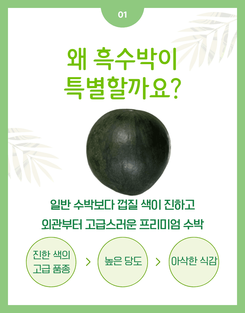 과일팩토리님의 장터 판매 상품 [고당도 신선한 산지직송 프리미엄 흑수박 3kg/4kg] 첨부 사진