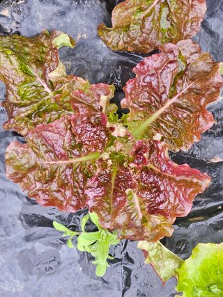 종일님의 자유주제 · 자유게시판 작성글 사진