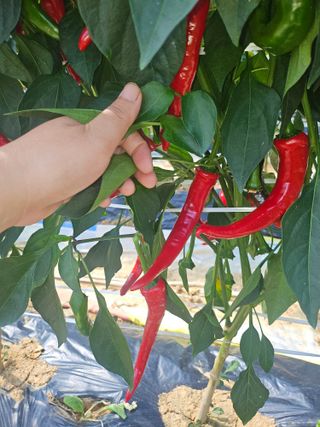 늘항상한결님의 자유주제 · 자유게시판 작성글 사진