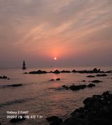 팜모닝 자유주제·자유게시판 게시글 이미지