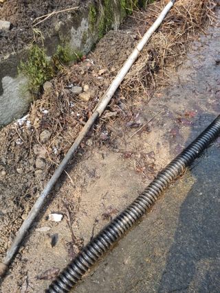 김용대님의 자유주제 · 자유게시판 작성글 사진