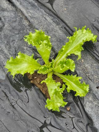 종일님의 자유주제 · 자유게시판 작성글 사진