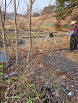 팜모닝 자유주제·자유게시판 게시글 이미지