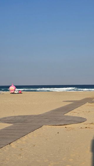 안석철님의 자유주제 · 자유게시판 작성글 사진