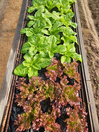 종일님의 자유주제 · 자유게시판 작성글 사진