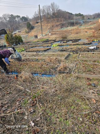 약초원 김종군님의 자유주제 · 자유게시판 작성글 사진