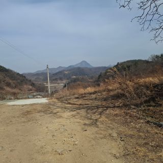 오영도님의 자유주제·자유게시판 작성글 사진