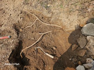 영숙님의 자유주제 · 자유게시판 작성글 사진