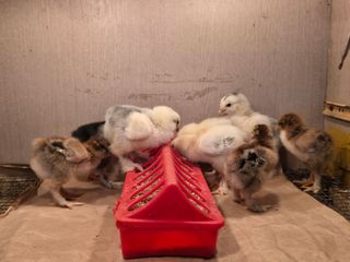 노아님의 자유주제 · 자유게시판 작성글 사진