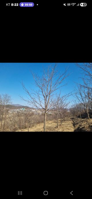 기중권님의 자유주제 · 자유게시판 작성글 사진