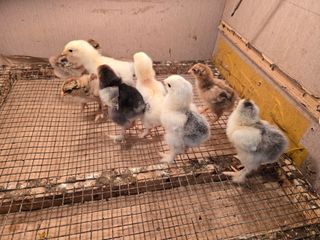 노아님의 자유주제 · 자유게시판 작성글 사진