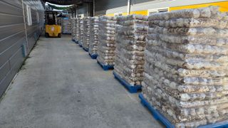 황룡참송이님의 자유주제·자유게시판 작성글 사진