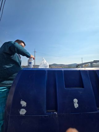 대산농사대장님의 양파 · 자유게시판 작성글 사진