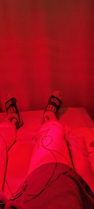 성산리농장(흑염소)님의 작성글 사진