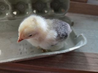 노아님의 자유주제 · 자유게시판 작성글 사진