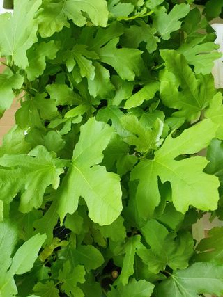 평강님의 자유주제 · 자유게시판 작성글 사진