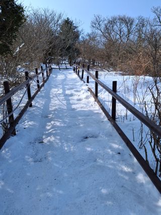 MSG0074님의 자유주제 · 자유게시판 작성글 사진