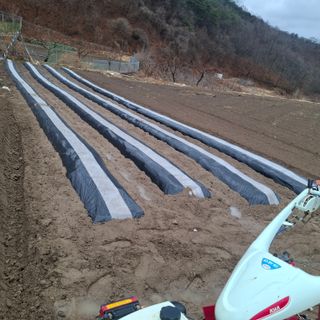 오영도님의 자유주제 · 자유게시판 작성글 사진