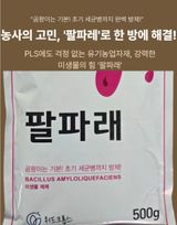 대산농사대장님의 양파·자유게시판 작성글 사진
