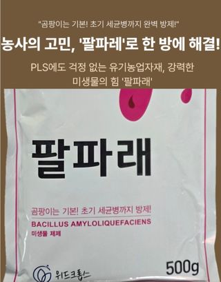 대산농사대장님의 양파 · 자유게시판 작성글 사진
