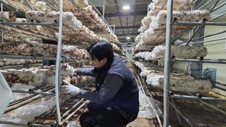 황룡참송이님의 자유주제 · 자유게시판 작성글 사진