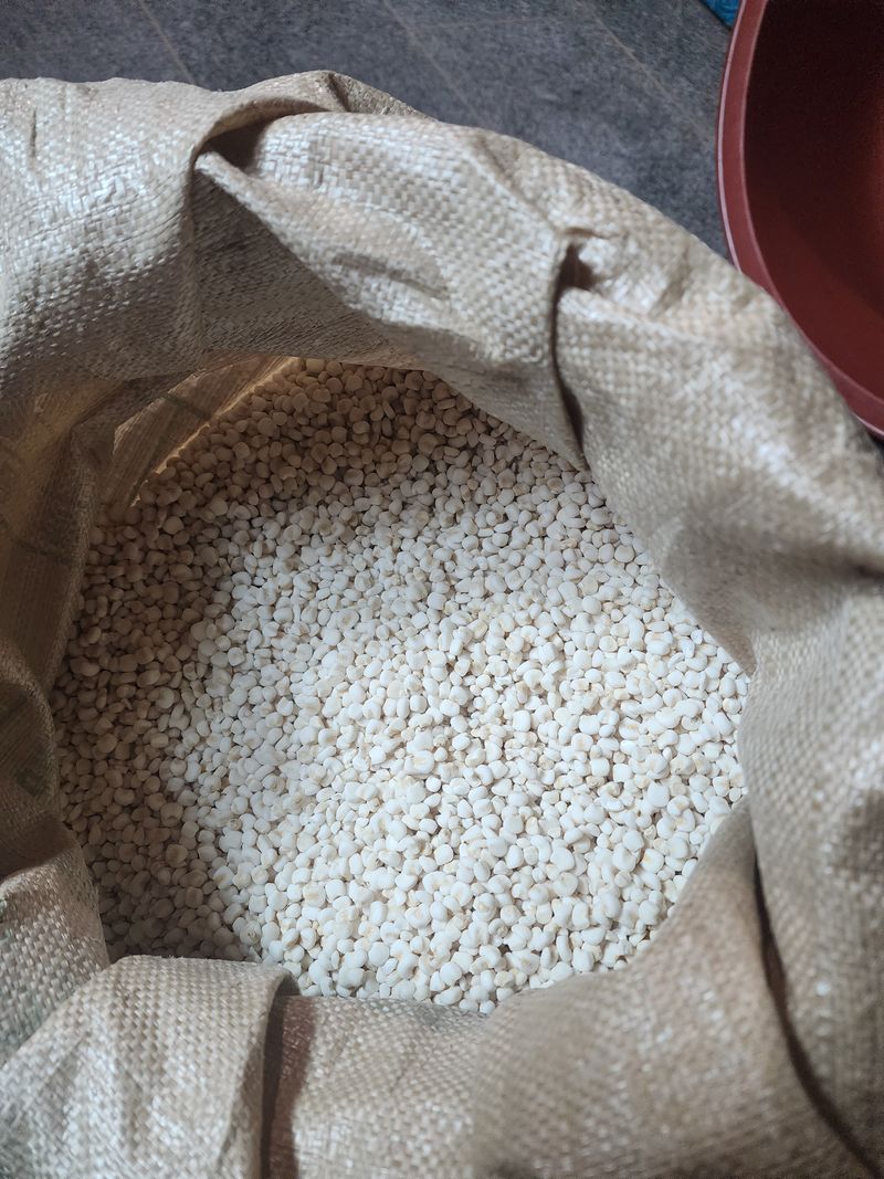 장터 상품 [찰옥수수탈피 (완판] 썸네일