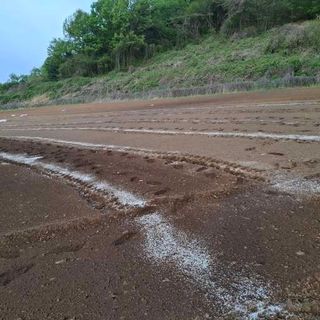 오영도님의 자유주제 · 자유게시판 작성글 사진