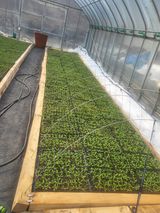 팜모닝 자유주제·자유게시판 게시글 이미지