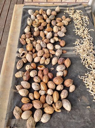 이현상홍길동건강즙님의 자유주제 · 자유게시판 작성글 사진