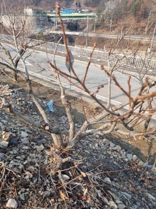 김용대님의 자유주제 · 자유게시판 작성글 사진