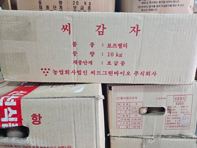 장터 상품 [[홍감자씨감자] 로즈밸리 10kg] 썸네일