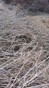 팜모닝 자유주제·자유게시판 게시글 이미지