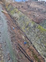 팜모닝 자유주제·자유게시판 게시글 이미지