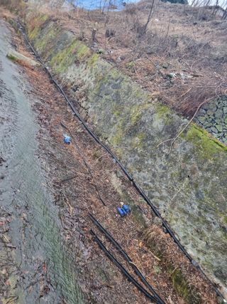 김용대님의 자유주제 · 자유게시판 작성글 사진