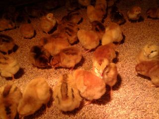 이영자 님의 자유주제 · 자유게시판 작성글 사진