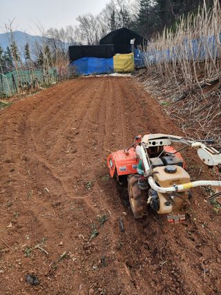 신승덕맛익는사과님의 자유주제 · 자유게시판 작성글 사진