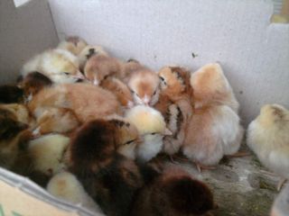 이영자 님의 자유주제 · 자유게시판 작성글 사진