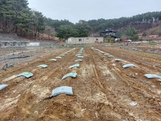 정연국님의 자유주제 · 자유게시판 작성글 사진