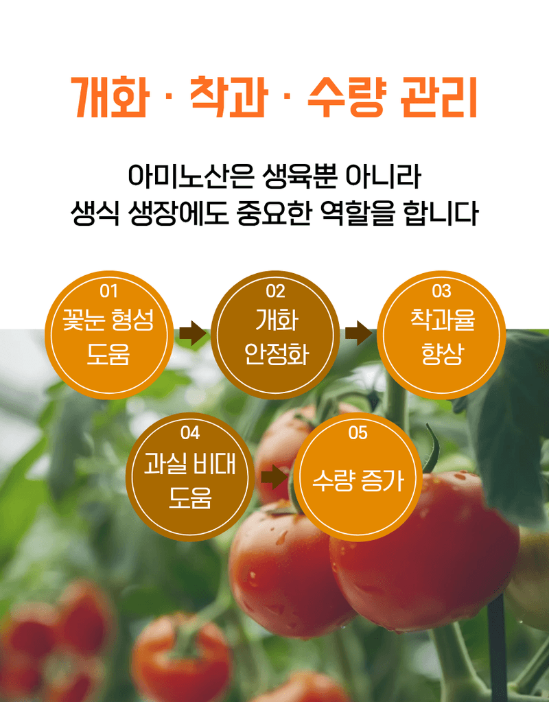 농업마켓365님의 장터 판매 상품 [아미노50 500ml 고농축 L-아미노산영양제 식물영양제 생육활력제] 첨부 사진