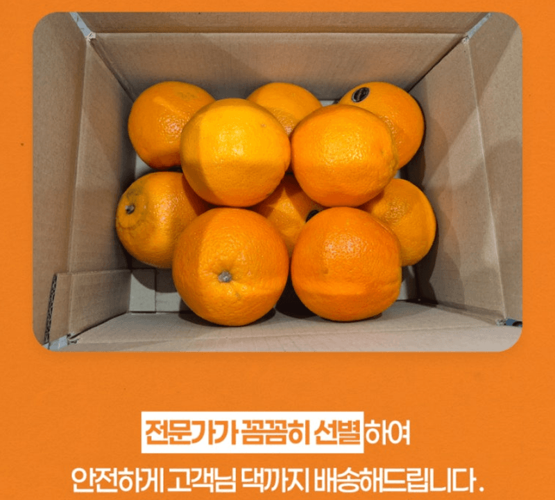 스피드번님의 장터 판매 상품 [특가 퓨어스펙 블랙라벨 오렌지] 첨부 사진