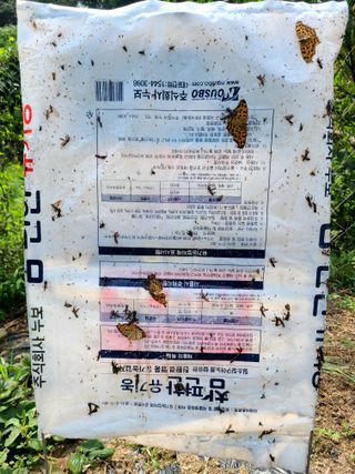 yooagasi님의 자유주제 · 자유게시판 작성글 사진